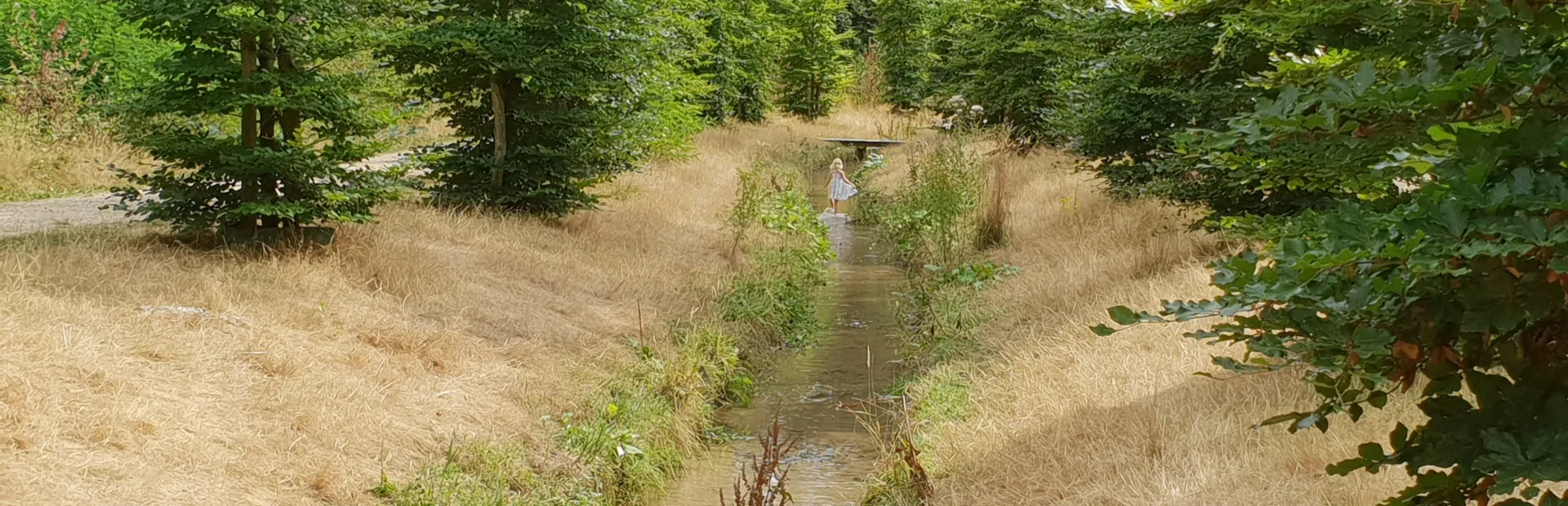 Bos Loenen waterstroompje