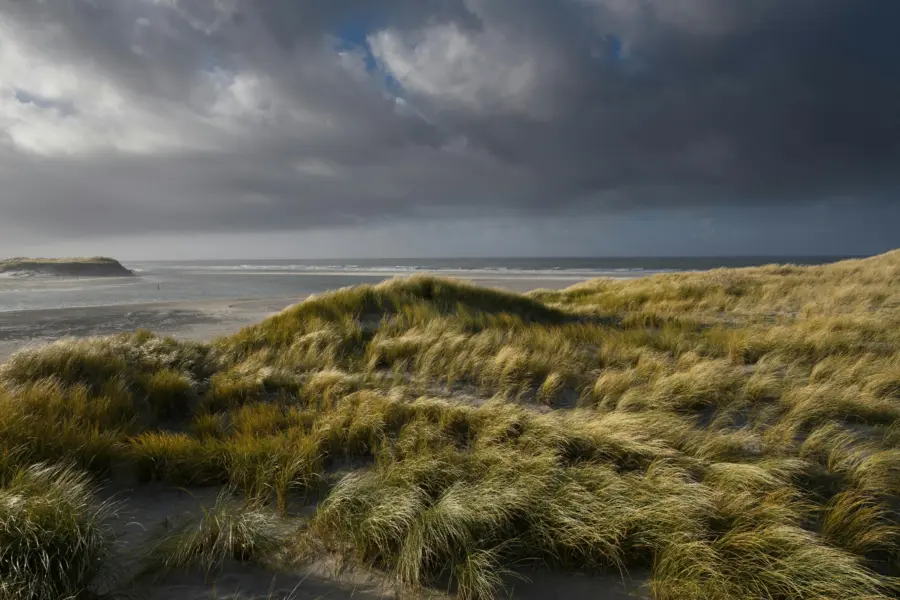 Pexels michiel alleman 702603 1652220
