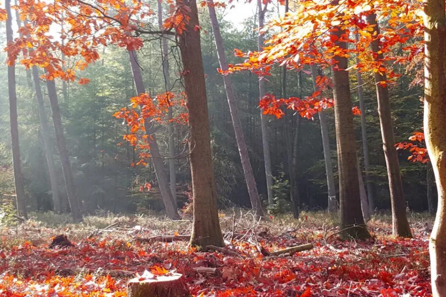 Drenthe 0