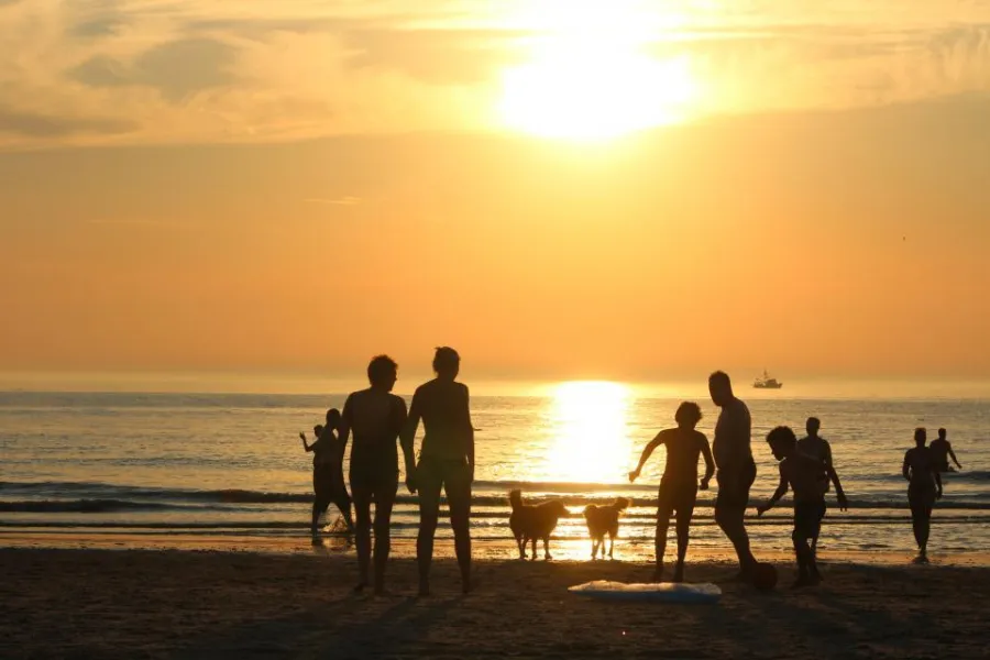 Honden mogen mee 0